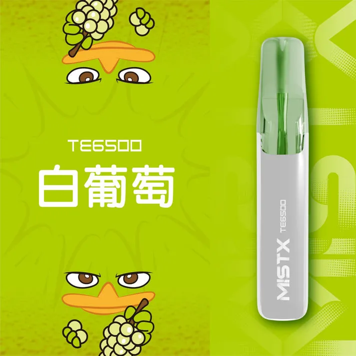 MISTX-TE6500-1_713x